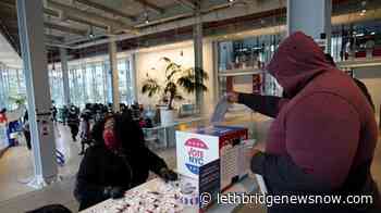 2020 Watch: Will loser of the election accept the result? - Lethbridge News Now