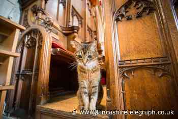 PETA: Animal rights charity slam Bishop of Burnley cat funeral comments