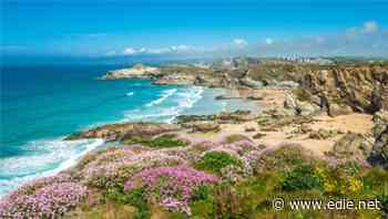 Natural Capital Committee: Environment Bill updates must stop businesses destroying nature