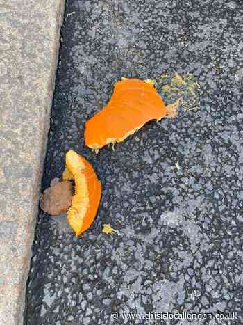 Children's decorations targeted by 'pumpkin smashers'