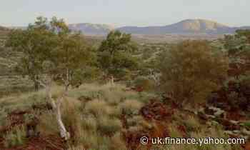 Rio Tinto did not notify pastoral leaseholder of plans to destroy nearby Juukan Gorge, inquiry hears