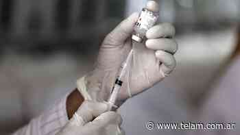 La provincia de Buenos Aires prepara un mega operativo para vacunar contra el coronavirus - Télam