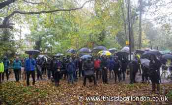 Pictures show funeral to mark 'copse of mature trees'