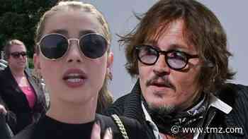 Amber Heard Probably Didn't Poop in Johnny Depp's Bed, Judge Rules