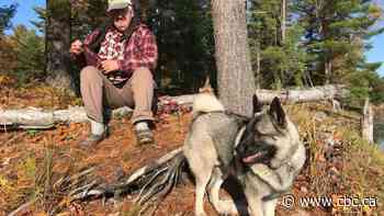 Dog's bark guides neighbour to rescue missing Hamilton senior with dementia