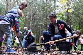 No budget yet for Liberals’ promise to plant two billion trees by 2030
