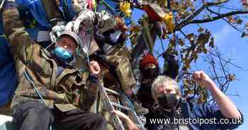 'We will not let this go': Protesters' fury as trees cut down