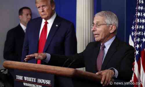 'A whole lot of hurt': Fauci angers Trump White House with dark Covid outlook