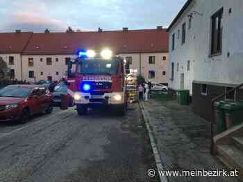 Pottschach: Feueralarm in Pottschach - Neunkirchen - meinbezirk.at