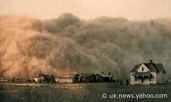 Weatherwatch: conditions ripe in US for more dust bowl years