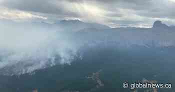Alberta sees ‘historically low’ 2020 wildfire season; experts look at weather, pandemic as factors