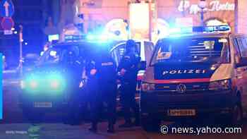 Several injured and 1 dead after &#39;terror attack&#39; in Vienna