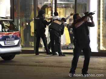 At least 2 people dead and more than a dozen injured in Vienna terror attack