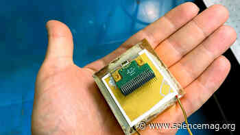 New lasers that fire terahertz beams could propel medical imaging and contraband detection - Science Magazine