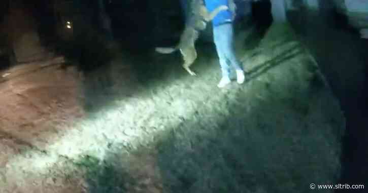 West Valley City releases bodycam showing police dogs biting dozens of people