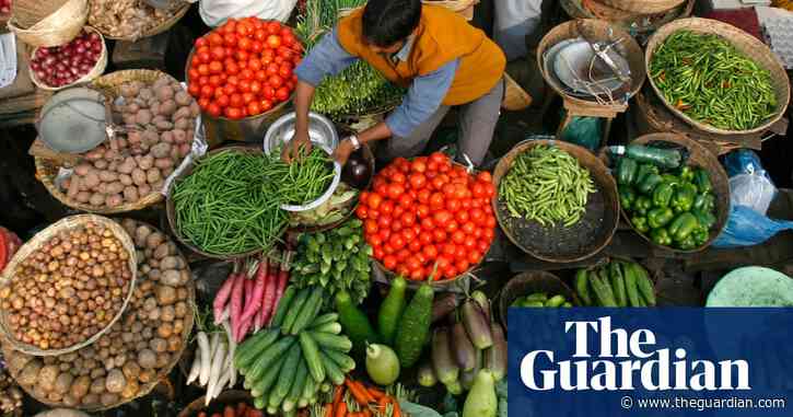 ‘Mind-boggling variety’: the food crusaders preserving India’s heritage