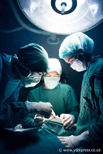 Dr Zak: Pathologists are the 'unsung heroes' of the medical world