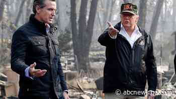 Federal agencies fall short of Trump forest protection goals