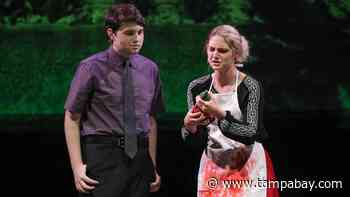 Indoor audiences can see Pasco school sports teams, but not arts groups - Tampa Bay Times