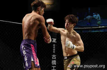 Evidence from mixed martial arts suggests male arm length could be an evolutionary adaptation - PsyPost