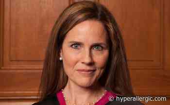 What Is Justice Amy Coney Barrett's Record on Arts Funding? - Hyperallergic