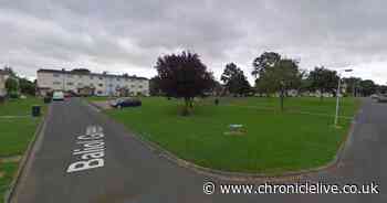 Teenage boy, 16, found dead in County Durham