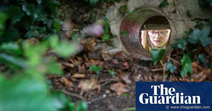 How are you helping wildlife in your garden? Share your experiences