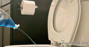Unclog a blocked toilet with this simple, ingenious trick -- no plunger required     - CNET