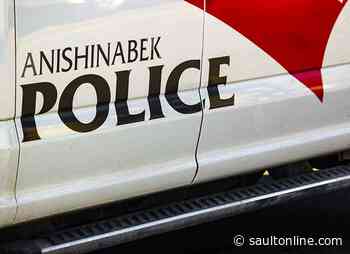 Arrests made after police pursuit in Garden River
