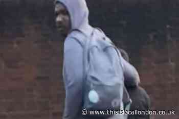 Woman saves young girl from 'attempted abduction'
