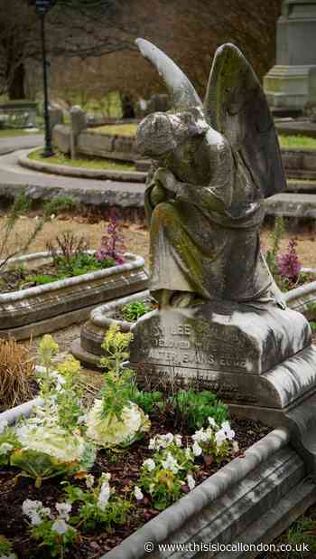 Brent Council proposes trading company to manage funerals