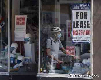 O’Toole calls for pause on CRA audits for businesses struggling due to COVID-19