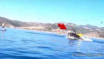 Whale Damn Near Swallows Kayakers in California's Avila Beach