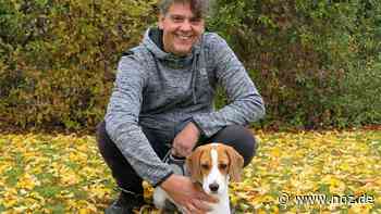 Was Beagle Adele aus Heithöfen mit Queen Elizabeth und Snoopy zu tun hat - noz.de - Neue Osnabrücker Zeitung