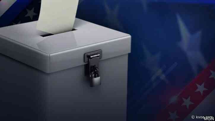 Voters keep Election Day tradition of placing stickers on Susan B. Anthony’s gravesite