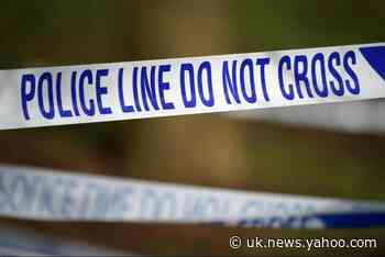 Mitcham: Man, 26, arrested after alleged rape of schoolgirl in south London