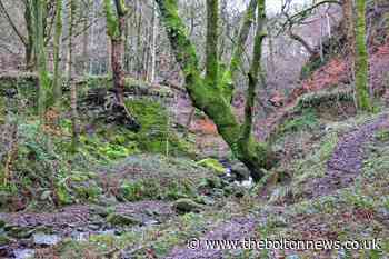 Miles of Bolton's public paths could be lost forever - The Bolton News