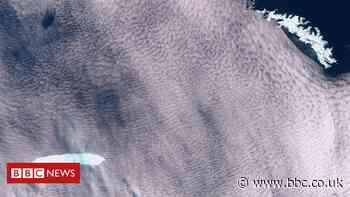 A68 iceberg on collision path with South Georgia