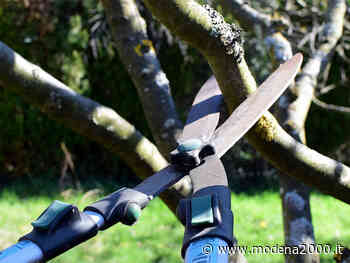 Modifiche alla viabilità a Fiorano per potature ed altri interventi - Modena 2000