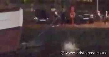 Yobs dump one of Bristol's new e-scooters in the harbour