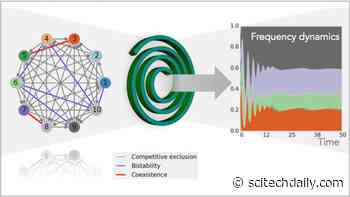 Understanding Species Coexistence Through Mathematics