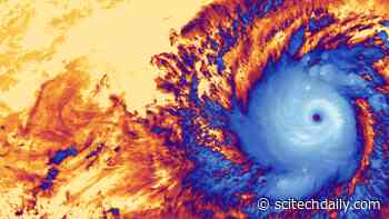 Super Typhoon Goni: Devastating Storm Hits the Philippines