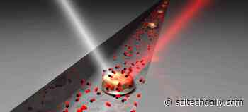 Super-Particles: The Importance of Good Neighbors in Catalysis