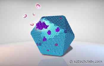 Sustainable Bioenergy Production Unlocked by New Protein Nanobioreactor