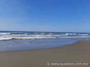 Las Sorprendentes Propiedades Del Bejuco Ubi Radio Libertad Radiolibertad Cu Bejuco Newslocker newslocker