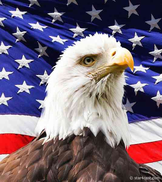 US Elections – no knockout, quills on alert