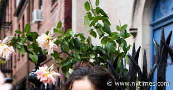 New Book Returns to an Irresistible Theme: the Harvard Murder