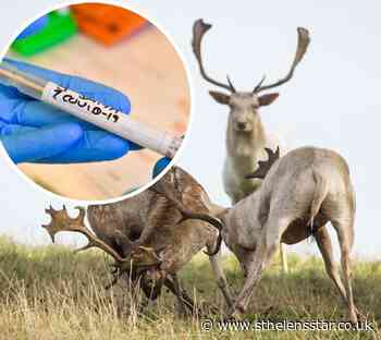 Coronavirus: Knowsley Safari Park blasts lockdown 'contradictions' - St Helens Star