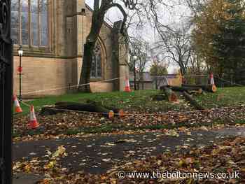 Ash dieback infects a quarter of trees in the grounds of Bolton Parish Church