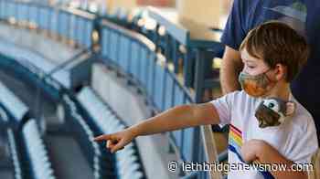 Sports venues across country in play on Election Day - Lethbridge News Now